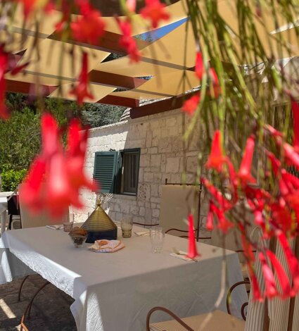 img_3150.jpeg img_3150.jpeg