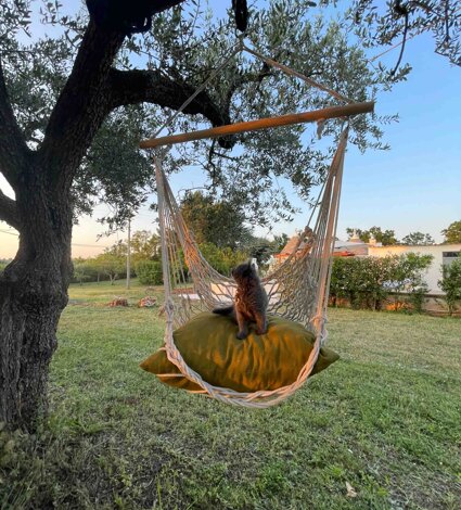 img_0391%20(1).jpeg img_0391%20(1).jpeg