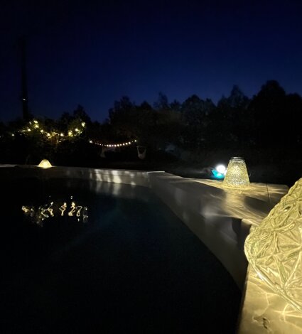 img_1652.jpeg img_1652.jpeg