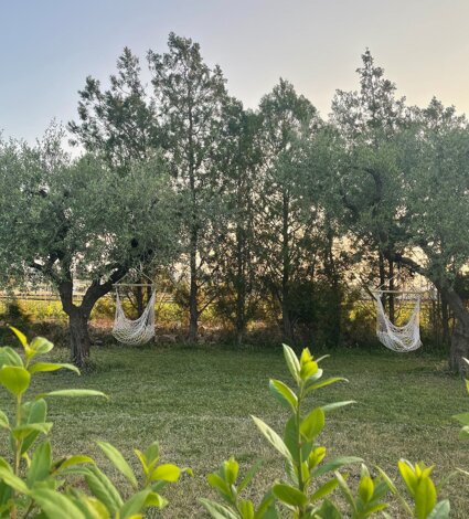 img_0606.jpeg img_0606.jpeg