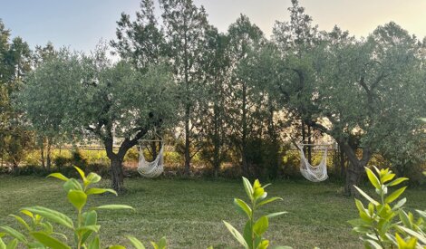 img_0606.jpeg img_0606.jpeg