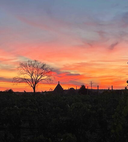 img_1654.jpeg img_1654.jpeg