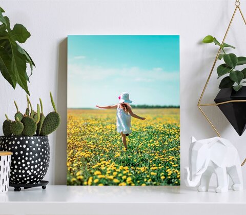 pannello leggero pannello leggero