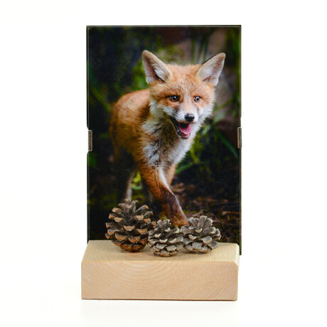 aded3853-3d5d-4f77-a669-4ba1e517eb80