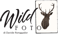 d2c9e291-9c4a-4299-ac95-24102f19fe3e