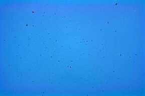 538f3041-a749-4aac-a964-370e340e6331