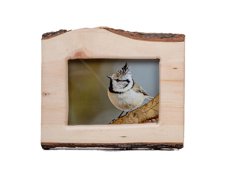 ac2206b1-4591-4132-ab4f-faee394deaeb