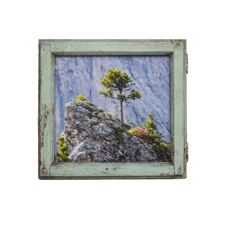 332c75b5-f0e7-4cf7-944e-d0357114d706