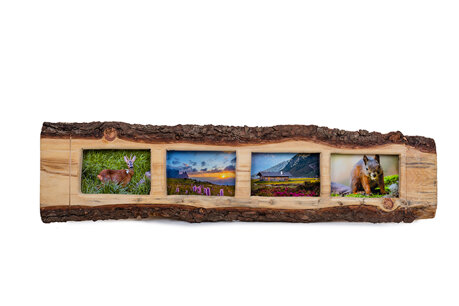 5b5dbc9e-0b2a-4049-9894-83c24ef8c5e2