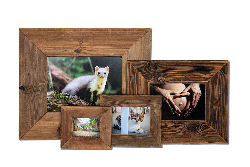 d7a2eecb-d0ce-4995-ac82-8b79a0cb2643