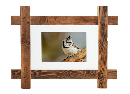 1c1cbfb2-e904-40c6-9583-08d242082c8f