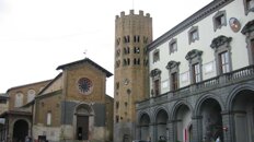 cf25c262-fc17-4f9a-bce5-a1a33d664686