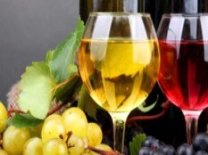 4fcdf045-9a82-4509-84fb-828dd7940db8