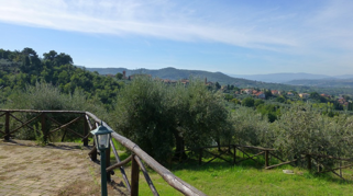 c7778bef-0a4e-44f2-ac7f-2d448659dfc7