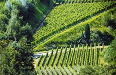 f4c46593-dc9f-4e77-afb2-24a8ffc846c4