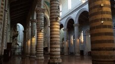 0f196a75-6967-444b-9955-58c1e3470838