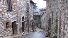 6d77cf0f-6611-4e18-902a-2887c3282eb7 6d77cf0f-6611-4e18-902a-2887c3282eb7