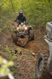 36c9feb2-09f0-493d-af71-68dad0d25516 36c9feb2-09f0-493d-af71-68dad0d25516