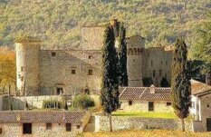 29ac7a53-ddf5-4e5e-9237-aba245e09bb7