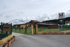 38b334d9-bc40-4691-a066-fc91d8cef7f2