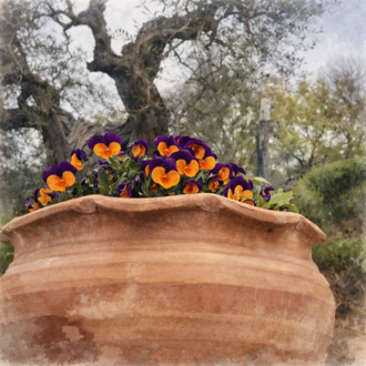 I Fiori al B&B Galletto di Marzo