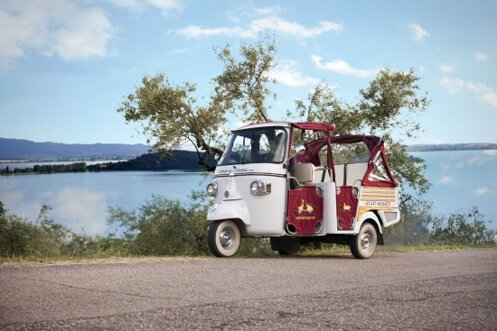 5659c084-e823-4916-a5a3-96990095f769