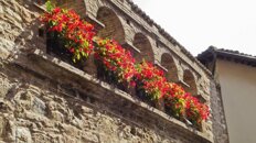 6e162f30-491e-412d-9177-f26eaa365731 6e162f30-491e-412d-9177-f26eaa365731