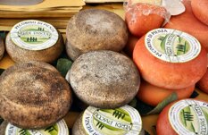 ee71aa0a-7737-4272-bb72-a2ca8741439e