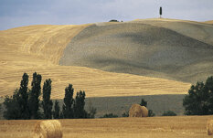 8b71a0c5-0a76-4dbe-a82d-acefa0e0796d