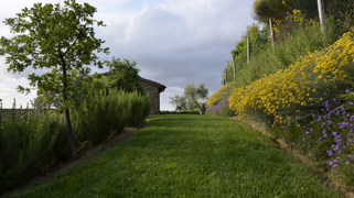 a58d762e-241c-46f5-abae-776871750d6d