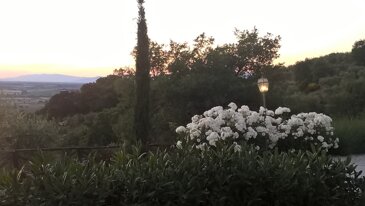 2b5291e3-ad21-4316-a65d-525f3299fd6d