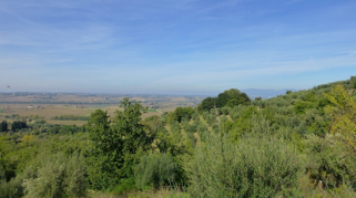 caad05fe-abd2-4589-959c-af20aff4c101