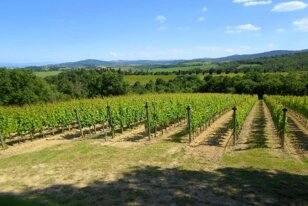 d9003fd1-f19a-40da-804f-257c0e1fc4e1