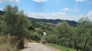 ff54f062-6aea-4f3b-9404-7e2d1347bded