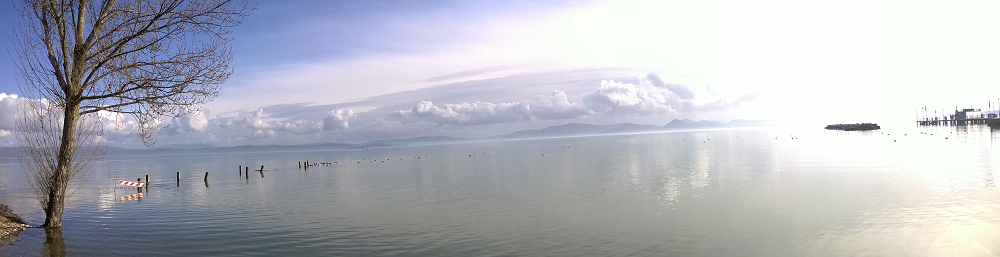 e219c0f8-1f42-42bc-aa28-9de20b4eb73b e219c0f8-1f42-42bc-aa28-9de20b4eb73b