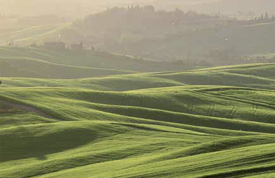 18926037-b72b-466b-9737-6e937a0d4ff9