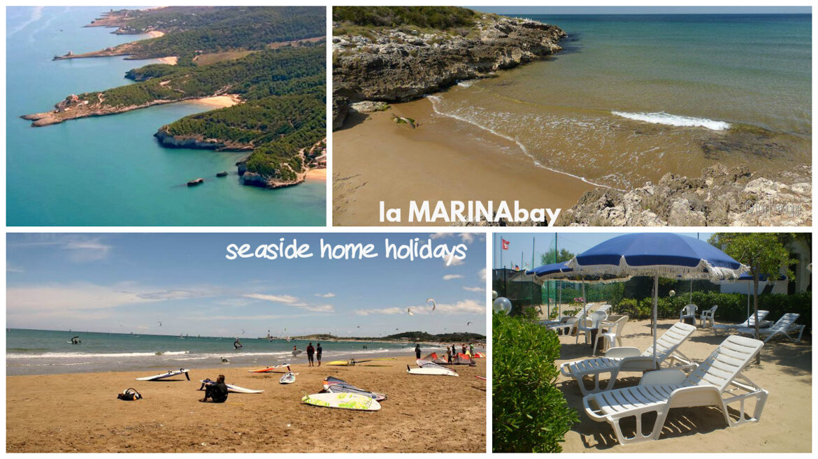 0cf2a9c4-a83c-45aa-ac8f-b0ad703fad8d