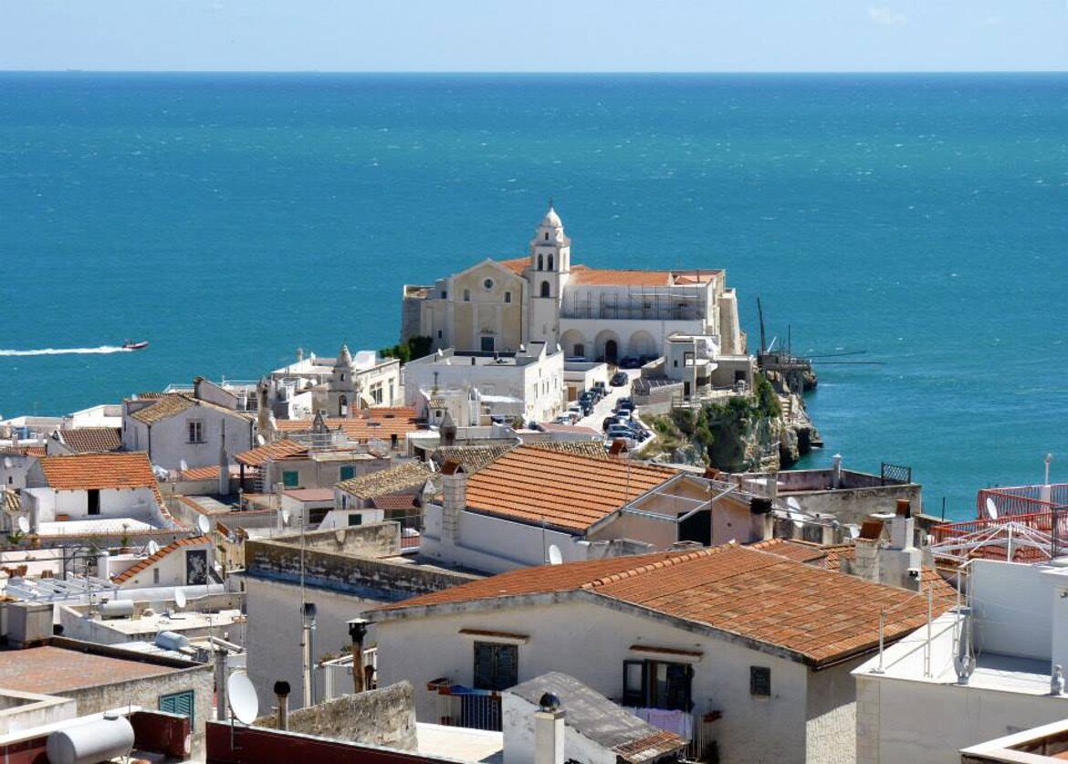 c51f32e3-af9f-49b9-b6a3-b11733b9897a