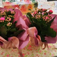 13/14 AGOSTO 2024 - FORNELLI GIORNATE AL BORGO