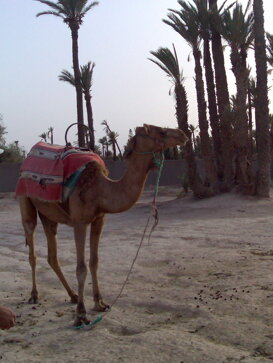 Marrakech Piera Maggio 2007