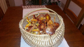 f86712ef-1285-496d-951d-d4bb3d5e2ed4