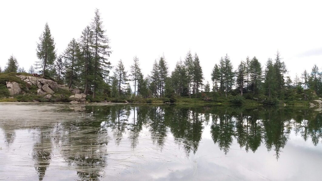 389e277c-2a61-4b32-b15c-dea97396a009 389e277c-2a61-4b32-b15c-dea97396a009