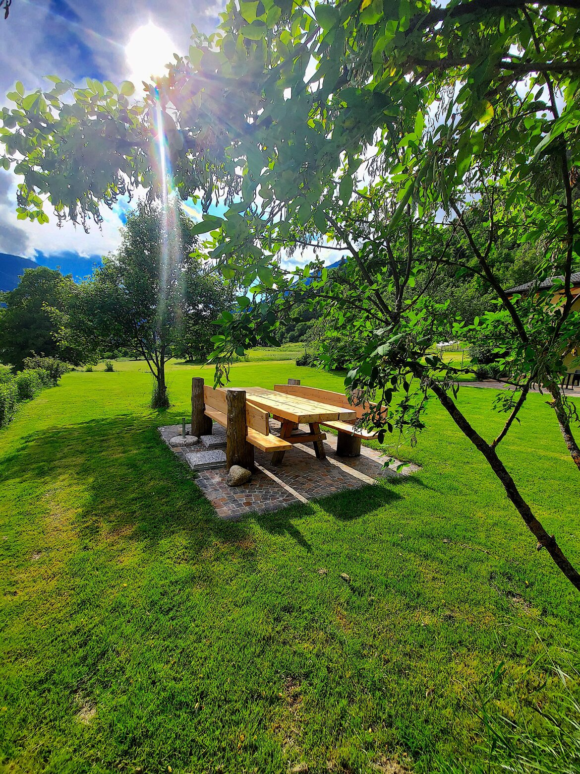 217aa7af-27bc-4f49-b029-c8ed2ab7a796.jpeg 217aa7af-27bc-4f49-b029-c8ed2ab7a796.jpeg