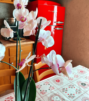 c12efd8e-de02-45f5-aa6b-0938e53f817c