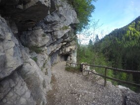 a47e3e8c-bb73-4c1a-8570-acadf2b1fc76