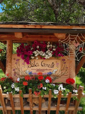 d61bc137-3d3f-4829-ab13-28803fbb41f3.jpeg d61bc137-3d3f-4829-ab13-28803fbb41f3.jpeg