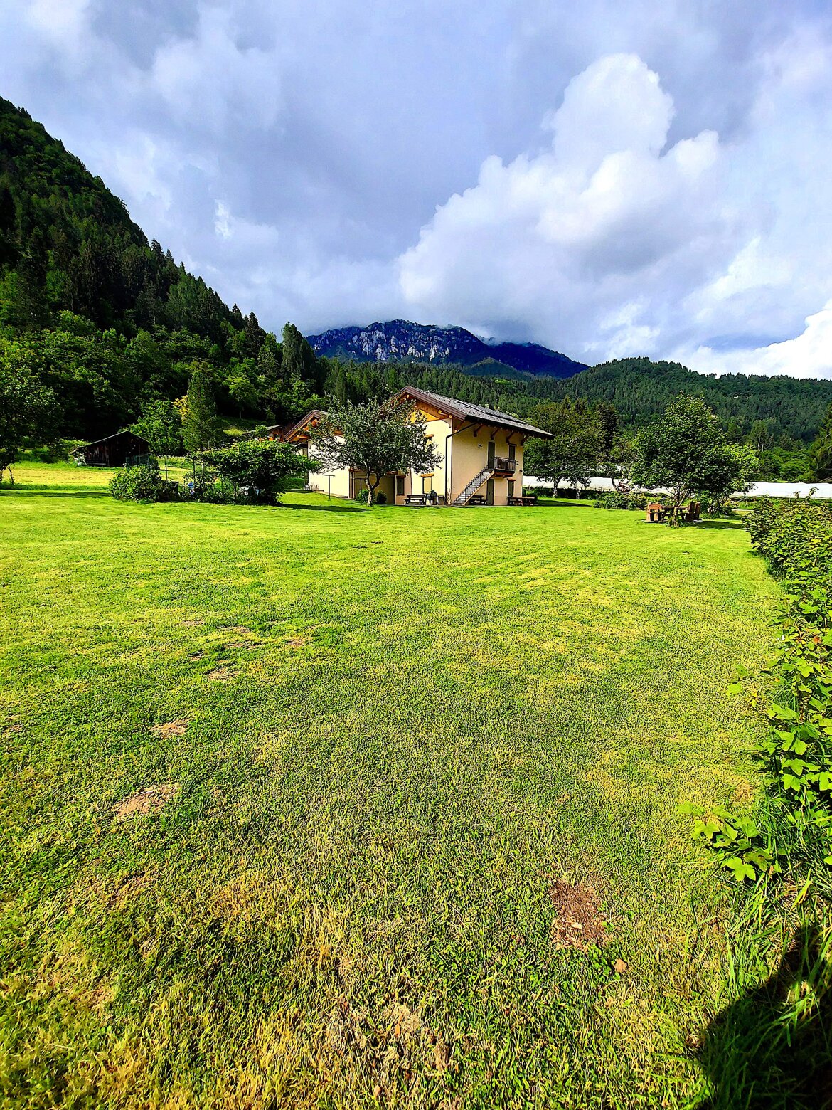 23e4bfe5-6a86-434f-865a-e9ea4da31c64.jpeg 23e4bfe5-6a86-434f-865a-e9ea4da31c64.jpeg