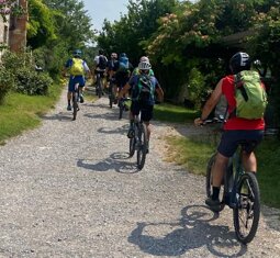 3d94acec-b8bb-4cbe-b637-cf69e9f126d8