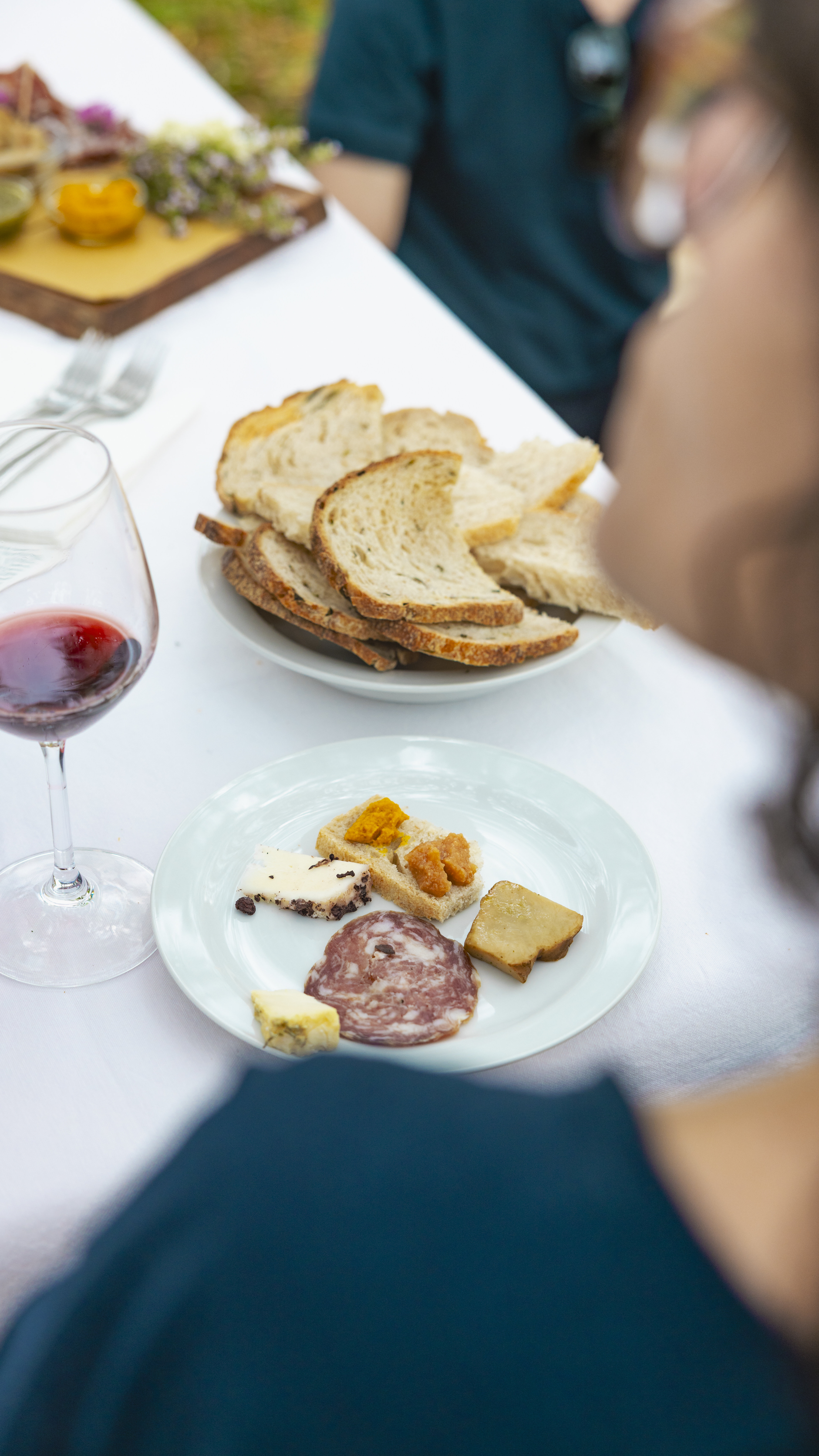 Esperienza in e-bike a Sirmione da Desenzano – Degustazione di vini e ciclismo panoramico Esperienza in e-bike a Sirmione da Desenzano – Degustazione di vini e ciclismo panoramico