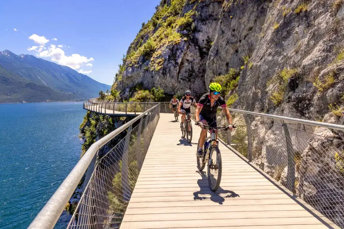 ad553f81-7d86-466f-a49a-c004e4288f6e ad553f81-7d86-466f-a49a-c004e4288f6e